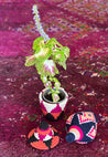 Berber Baskets Multi XS