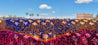 Small Boujad Rug | pink-purple-orange