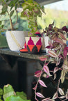 Berber Baskets Multi XS
