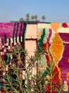 Small Boujad Rugs | Purple & Red