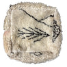 Beni Ouarain Floor Cushions