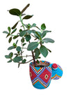 Berber Baskets - bigger & brighter
