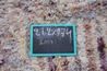 Exclusive Boujad Boucherouite Rug 262/174